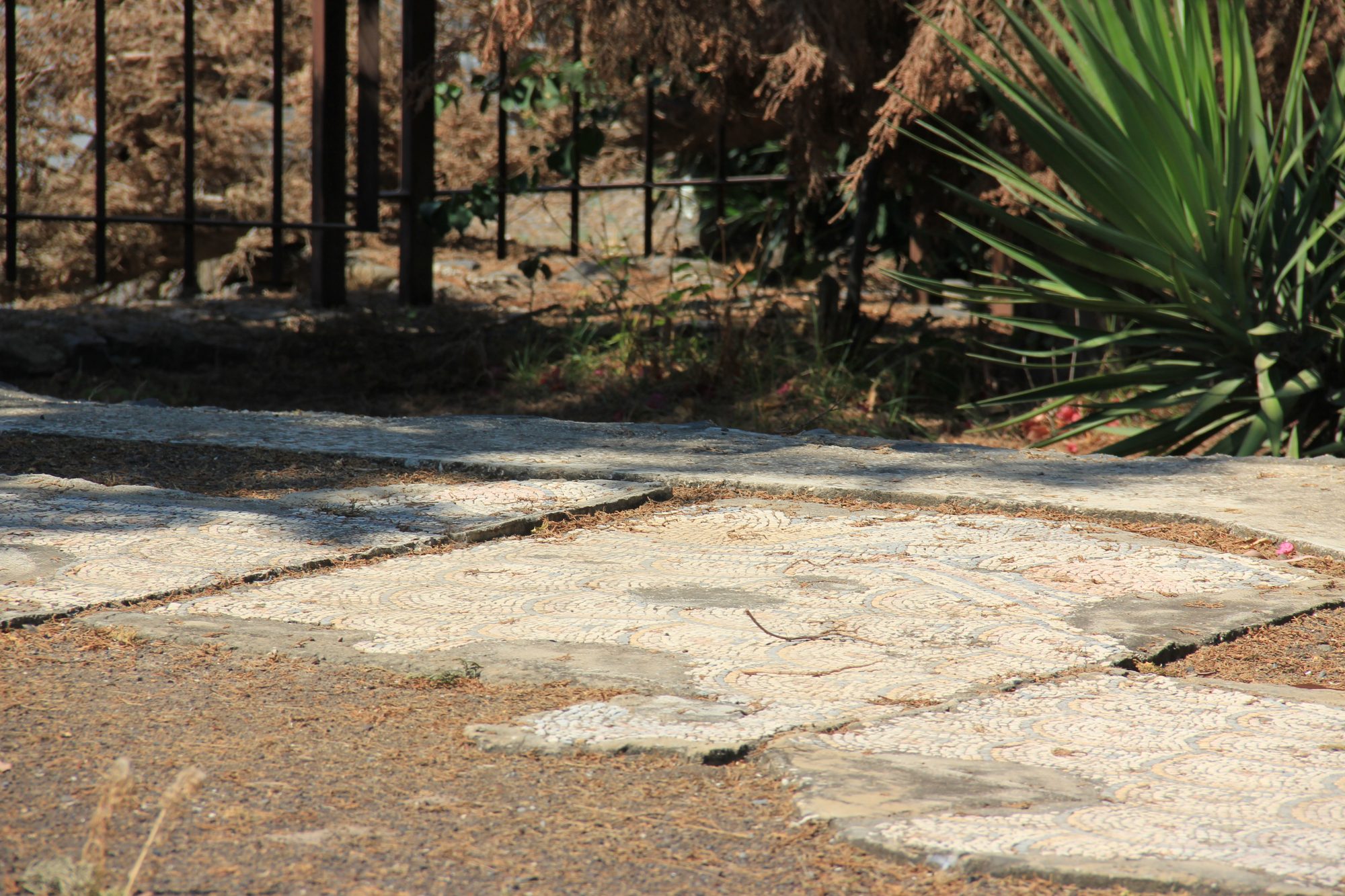 Capharnaum 66